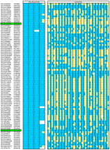 Exonic Short Interspersed Nuclear Element Insertion in FAM161A Is Associated with Autosomal Recessive Progressive Retinal Atrophy in the English Shepherd