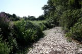 Chance of drought in Belgium eleven times greater due to climate change