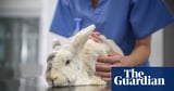 Vet group CVS warns over risk to personal information in cyber-attack