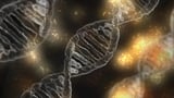 AI Tool Revolutionizes Genetic Research Methods