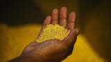 Gold set for weekly drop; traders await U.S. data for cues