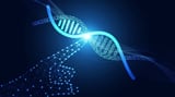 Preventing CRISPR From Causing Senescence