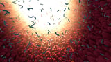 Your gut microbiome may be more contagious than scientists thought
