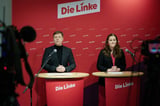 Leaders of Germany's Left Party say they will not stand again