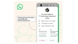 WhatsApp adds new warning about potential group chat messaging scams