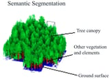 A Review of Semantic Segmentation and Instance Segmentation Techniques in Forestry Using LiDAR and Imagery Data