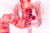 Goodbye Colonoscopy? New Poop Test Detects 90% of Colorectal Cancers