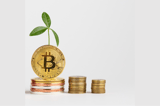 CoinDCX Receives Fresh Investment from Coinbase at USD 2.45 Bn Valuation
