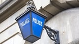Forty-three police forces in England and Wales 'should be merged into just 15' in biggest shake-up of policing in half a century