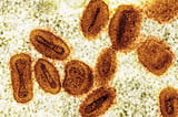 2 scientists charged with bringing deactivated mpox virus into the US and lying to authorities