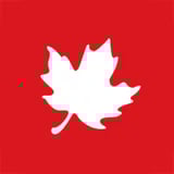 StickyHive Launches First AI Community Management Software Built Natively for Leading Online Community Platforms