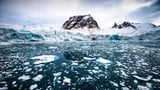 Study reveals how melting ice changes ocean light, affecting arctic food chain