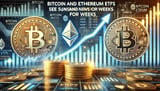 Bitcoin And Ethereum ETFs See Sustained Inflows For Weeks