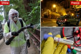 New York health officials confirm state's first locally acquired case of chikungunya virus
