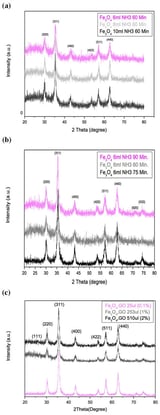 Investigation of the Application of Reduced Graphene Oxide–SPION Quantum Dots for Magnetic Hyperthermia