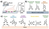 Mussel-Inspired Injectable Adhesive Hydrogels for Biomedical Applications