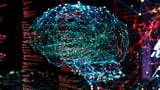 Aussies at risk in government AI data breach