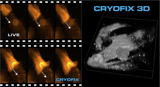 Time-deterministic cryo-optical microscopy
