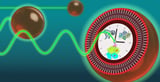 Tiny Artificial Cells Can Keep Time, Study Finds