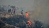 EU proposes regional hub on Cyprus to better tackle wildfires, von der Leyen says