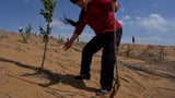 China’s 'Green Great Wall' tames desert growth, but scientists warn the fight is not over