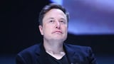 ‘Shocking disregard’: Elon Musk, X condemned at royal commission