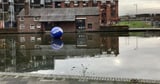 Town warned after 'toxic chemicals' spill into canal with dogs at risk