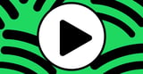 Spotify finally turned a profit for a full year