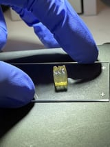 Space station bioprinting experiment advances quest for lab-grown tissues, company says