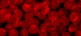 Hemophilia B gene therapy demonstrates long-term success
