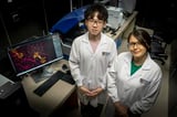 New biomaterial developed by NUS researchers shows how ageing in the heart could be reversed