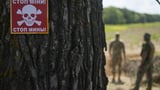 Finland's lawmakers vote to leave land mine treaty as Nordic country boosts defenses against Russia | AP News