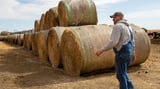 A pipeline company filed hundreds of lawsuits against landowners. Now its project is threatened