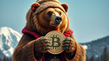 Russian Economist Warns Bitcoin Reserve is a Risky Bet – The Shib Daily