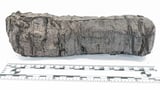 ‘Disgust’ among first words decoded in 2,000-year-old charred scroll | CNN