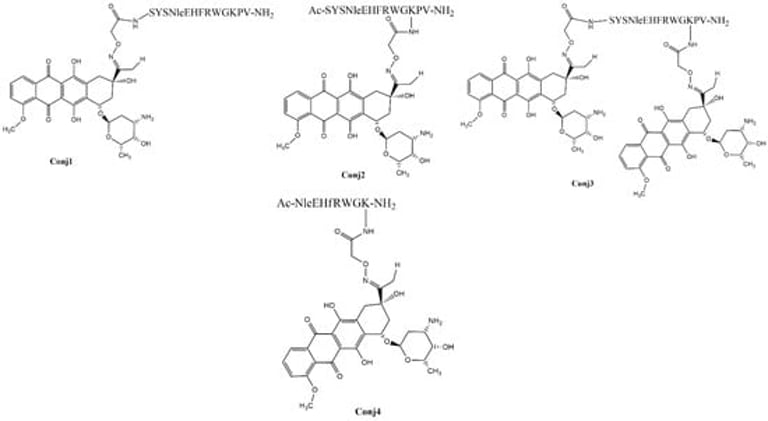 Breakthrough in Melanoma Treatment: Peptide-Drug Conjugates Show Promising Antitumor Efficacy