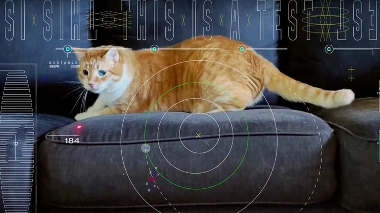 NASA Breaks Ground in Space Communication: Transmits HD Cat Video Using Lasers