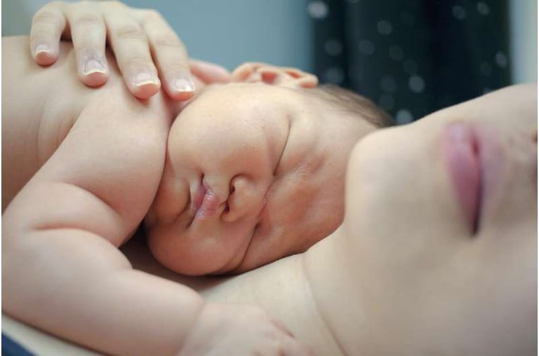 New Study Debunks Myth: Human Newborn Brains as Developed as Other Primates at Birth