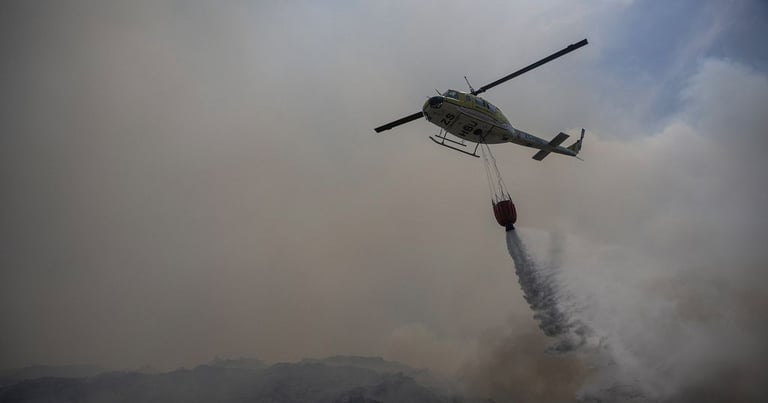 South Africa Wildfires: Coastal Towns Evacuated, Nature Reserve Ravaged