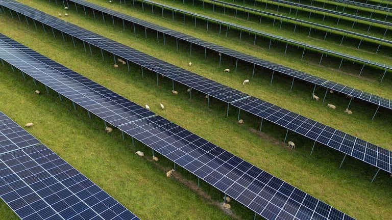 US Solar Power Soars 25% in Early 2024 Amid Construction Boom, But Natural Gas Still Dominates