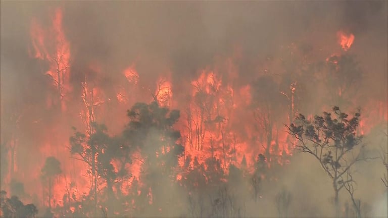 Urgent Evacuation Ordered as Out-of-Control Bushfire Threatens Mundaring Homes