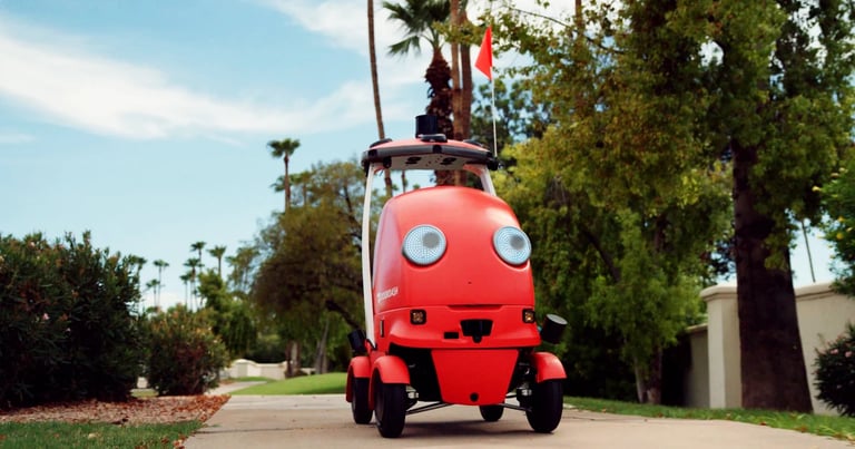 Rise of Cute Robots: Tech Firms Use Petlike Designs to Boost Human-Robot Trust