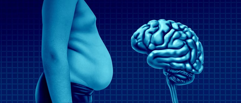 Unlocking 'Meal Memory': How Brain Neurons Track Meals and Impact Eating Habits
