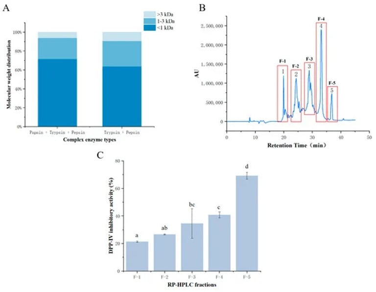 Bighead Carp Skin Peptides: A Promising Natural Solution for Type 2 Diabetes Management