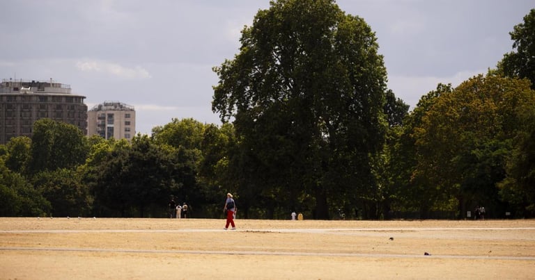 UK Records Hottest Summer Ever, Climate Change Blamed for Heatwaves and Drought