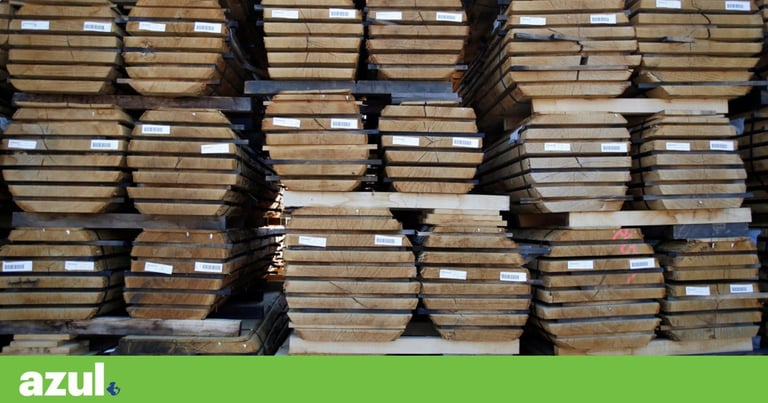 Illegal Russian Birch Wood Floods EU Amid Sanctions, Earthsight Exposes $1.5 Billion Wood Laundering Scheme
