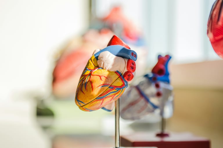 Urgent Call for Expanded Cardiac Care as Long COVID Poses Ongoing Heart Health Threat