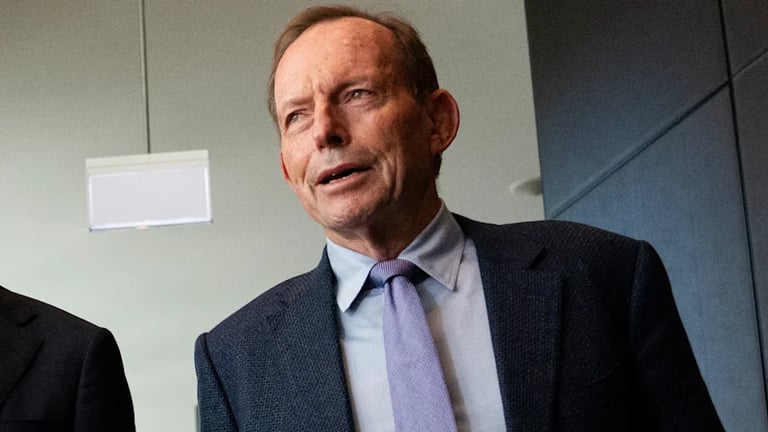Federal Liberals Consider Blocking Antic's Leadership Bid Amid SA Party Turmoil