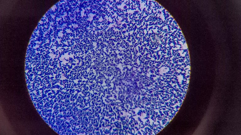 Chronic Infections Accelerate Aging: Study Explores Links to Cellular Senescence and Tissue Damage