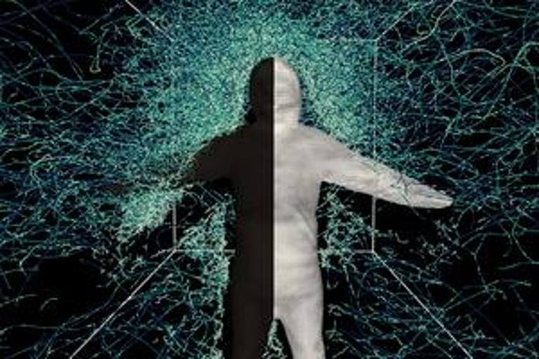 New 3D Model Unlocks Secrets of Mosquito Flight, Aims to Revolutionize Pest Control